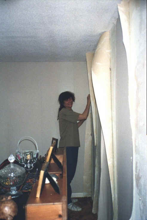 This was a typical "nothing went as expected" task.  All the wall paper had to be treated and then removed with a putty knife.  Charles and (mostly) Susan spent the entire weekend removing the wallpaper!